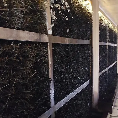 Prywatny 329 W Diune * Kolobrzeg