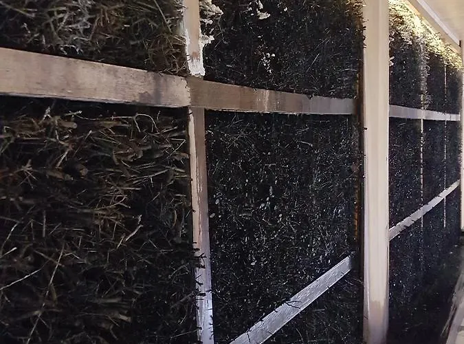 Prywatny 329 W Diune * Kołobrzeg