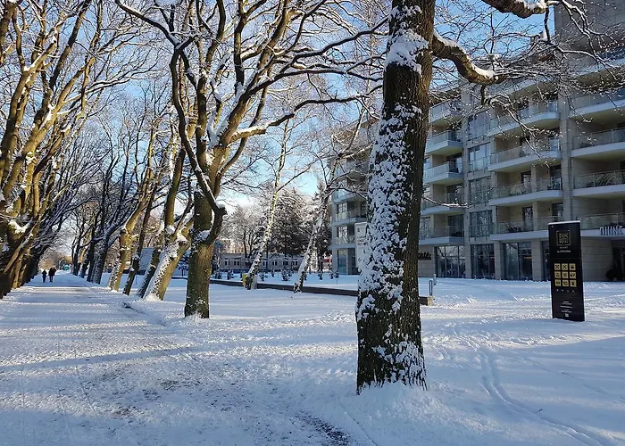 Prywatny 329 W Diune