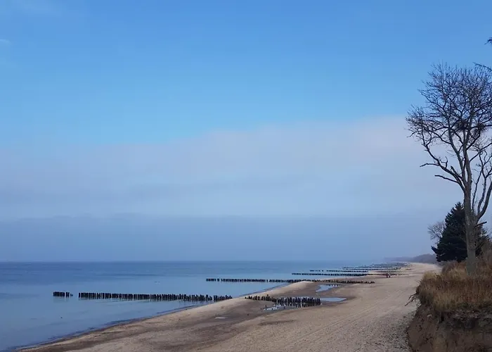 Prywatny 329 W Diune